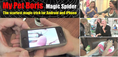 نرم افزارعنکبوت My Pet Boris Magic Spider Android
